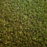 Indoor Gym Synthetic Grass
